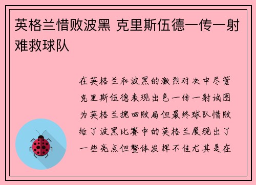 英格兰惜败波黑 克里斯伍德一传一射难救球队