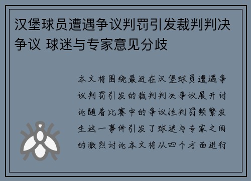 汉堡球员遭遇争议判罚引发裁判判决争议 球迷与专家意见分歧